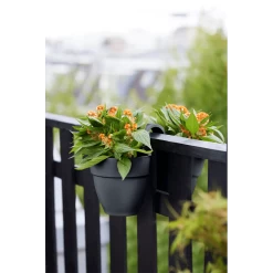 Elho Balkonbak Vibia Campana Twin 21cm - Antraciet -Groene Tuin Verkoop balkonbak vibia campana twin 21cm antraciet balkonbak antraciet 5 1