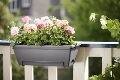 Balkonbak Elho Barcelona Allin 1 50cm - Antraciet -Groene Tuin Verkoop barcelona allin1 50cm plantenbak antraciet 7 18