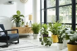 Bloempot Elho B.for Original Rond 30cm - Warm Grijs 5 Bloempot Elho B.for Original Rond 30cm - Warm Grijs -Groene Tuin Verkoop bfor original rond 30cm bloempot warm grijs 7 17