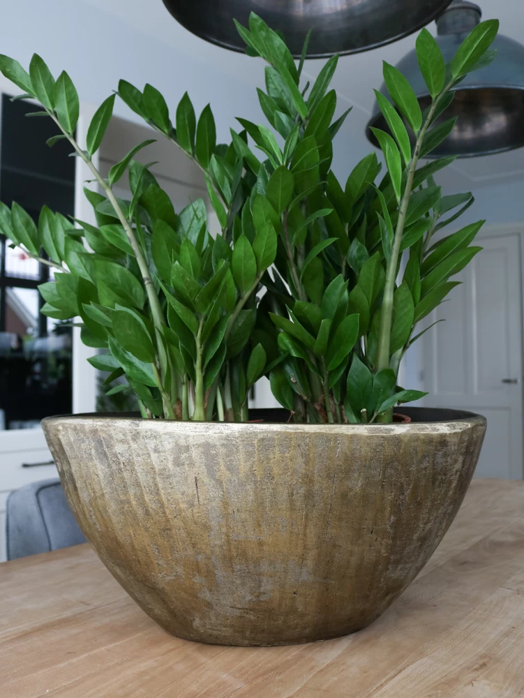 Bloempot Kos Ovaal - L39 X B20 X H31cm - Goud 2 Bloempot Kos Ovaal - L39 X B20 X H31cm - Goud - Afbeelding 2