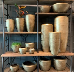 Plantenschaal Kos - D45 X H20cm - Goud -Groene Tuin Verkoop bloempot kos serie goud bloempot 3 1 6