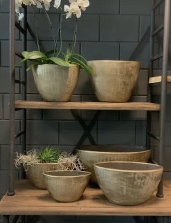 Bloempot Kos Ovaal - L39 X B20 X H31cm - Goud 5 Bloempot Kos Ovaal - L39 X B20 X H31cm - Goud -Groene Tuin Verkoop bloempot kos serie ovaal goud bloempot 3 1