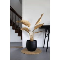 Bloempot Petra - D19 X H16cm - Mat Zwart -Groene Tuin Verkoop bloempot petra mat zwart 3