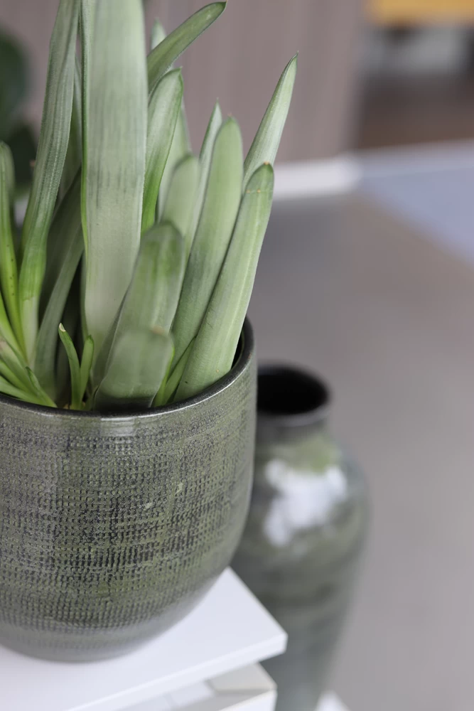 Bloempot Tokio - D24 X H22cm - Groen 2 Bloempot Tokio - D24 X H22cm - Groen - Afbeelding 2