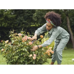 Comfort Snoeischaar - Gardena 5 Comfort Snoeischaar - Gardena -Groene Tuin Verkoop comfort snoeischaar gardena 3 7