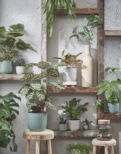 Bloempot Daan - D17 X H16cm - Blauw -Groene Tuin Verkoop daan pot rond blauw h16xd17cm bloempot 7 13