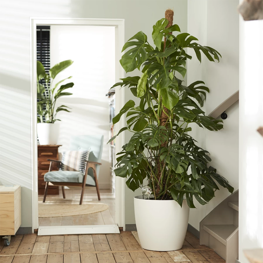 Bloempot Elho Brussels Rond 40cm - Met Wielen - Wit 2 Bloempot Elho Brussels Rond 40cm - Met Wielen - Wit - Afbeelding 2