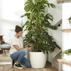 Bloempot Elho Brussels Rond 40cm - Met Wielen - Wit 5 Bloempot Elho Brussels Rond 40cm - Met Wielen - Wit -Groene Tuin Verkoop elho brussels rond wielen 40 wit bloempot 7 7