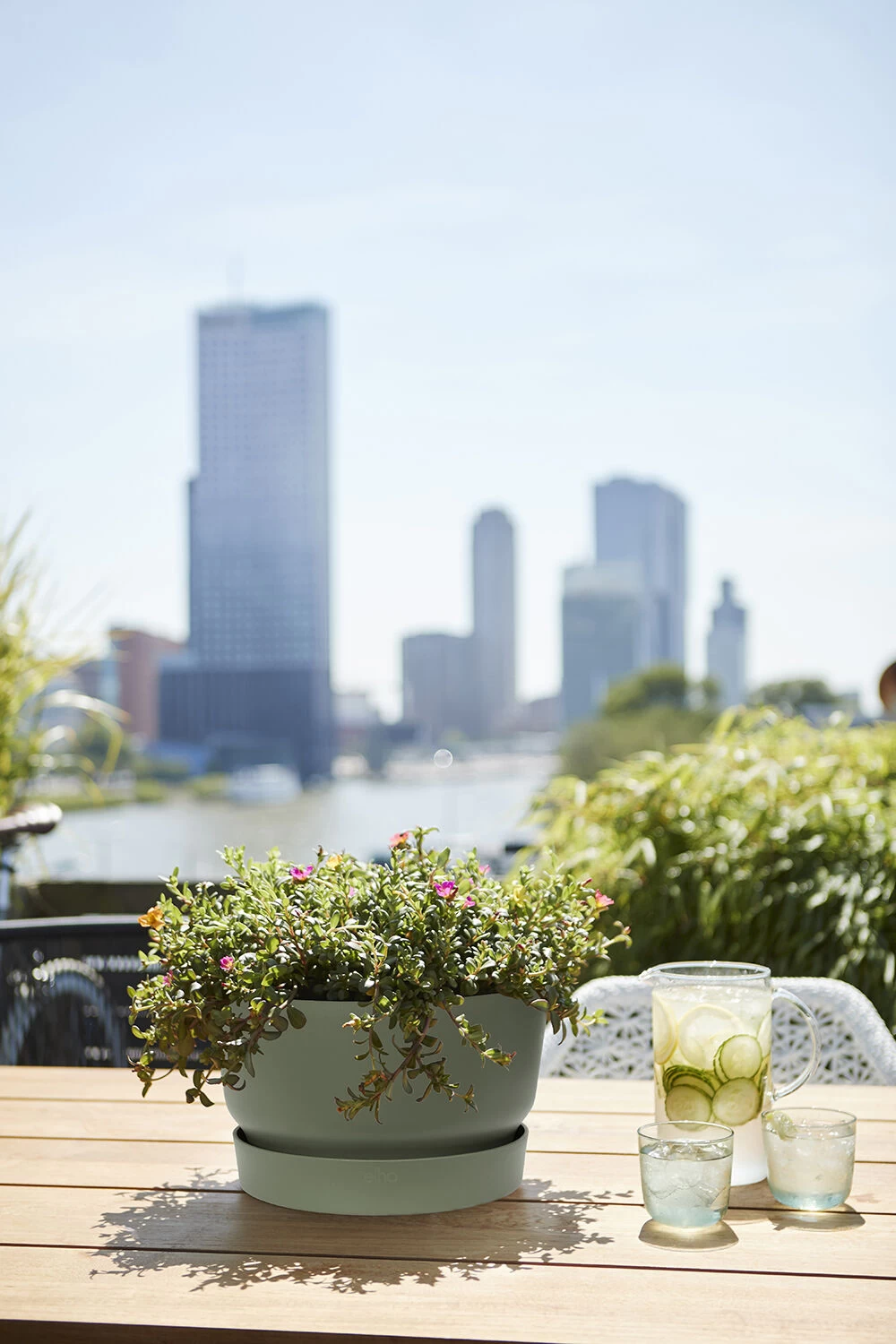 Plantenschaal Elho Greenville 33cm - Bladgroen 3 Plantenschaal Elho Greenville 33cm - Bladgroen - Afbeelding 3