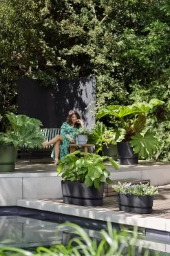 Bloembak Elho Greenville Terrace Long 70cm - Met Wielen - Living Black 7 Bloembak Elho Greenville Terrace Long 70cm - Met Wielen - Living Black -Groene Tuin Verkoop greenville trough long 70 plantenbak living black 6 13