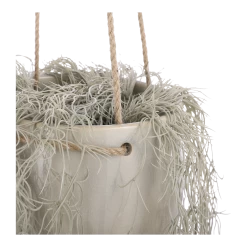 Hangpot Resa - D18,5 X H17cm - Lichtgrijs 7 Hangpot Resa - D18,5 X H17cm - Lichtgrijs -Groene Tuin Verkoop hangpot resa d18 5 x h17cm lichtgrijs hangpot 3 1