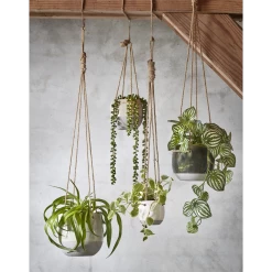 Hangpot Resa - D18,5 X H17cm - Lichtgrijs 9 Hangpot Resa - D18,5 X H17cm - Lichtgrijs -Groene Tuin Verkoop hangpot resa d18 5 x h17cm lichtgrijs hangpot 5 1