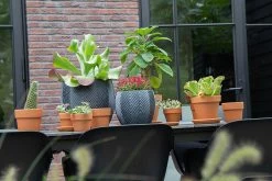 Bloempot Iowa Bullet - D57 X H50.5cm - Donkergrijs 5 Bloempot Iowa Bullet - D57 X H50.5cm - Donkergrijs -Groene Tuin Verkoop iowa bullet graphite d57h505 bloempot 7 9