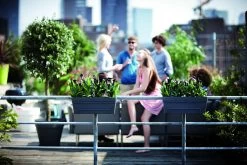 Balkonbak Elho Loft Urban 50cm - Antraciet 5 Balkonbak Elho Loft Urban 50cm - Antraciet -Groene Tuin Verkoop loft urban balkonbak 50 plantenbak antraciet 6 13