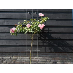 Nature - Metalen Klimrek Geplastificeerd Grijs H145x42,5cm 6 Nature - Metalen Klimrek Geplastificeerd Grijs H145x42,5cm -Groene Tuin Verkoop nature metalen klimrek geplastificeerd grijs h145x42 5cm 3 2