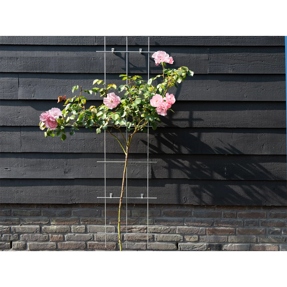 Nature - Metalen Klimrek Geplastificeerd Grijs H145x42,5cm 3 Nature - Metalen Klimrek Geplastificeerd Grijs H145x42,5cm - Afbeelding 3