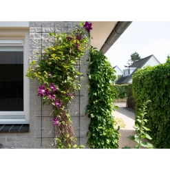 Nature - Metalen Klimrek Geplastificeerd Grijs H145x57cm 6 Nature - Metalen Klimrek Geplastificeerd Grijs H145x57cm -Groene Tuin Verkoop nature metalen klimrek geplastificeerd grijs h145x57cm 3 2