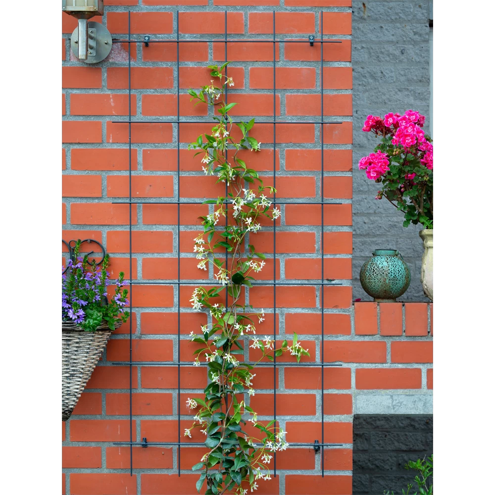 Nature - Metalen Klimrek Geplastificeerd Groen H145x72,5cm 2 Nature - Metalen Klimrek Geplastificeerd Groen H145x72,5cm - Afbeelding 2