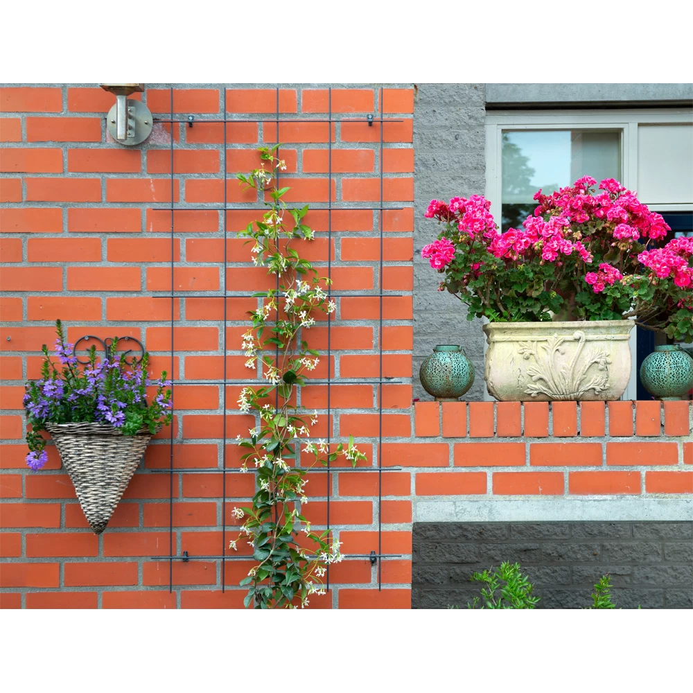 Nature - Metalen Klimrek Geplastificeerd Groen H145x72,5cm 3 Nature - Metalen Klimrek Geplastificeerd Groen H145x72,5cm - Afbeelding 3