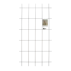 Nature - Metalen Klimrek Geplastificeerd Groen H145x72,5cm 7 Nature - Metalen Klimrek Geplastificeerd Groen H145x72,5cm -Groene Tuin Verkoop nature metalen klimrek geplastificeerd groen h145x72 5cm 4 2