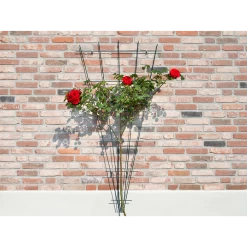 Nature - Metalen Klimrekv Geplastificeerd Groen H145x5/75cm 6 Nature - Metalen Klimrekv Geplastificeerd Groen H145x5/75cm -Groene Tuin Verkoop nature metalen klimrekv geplastificeerd groen h145x5 75cm 3 2