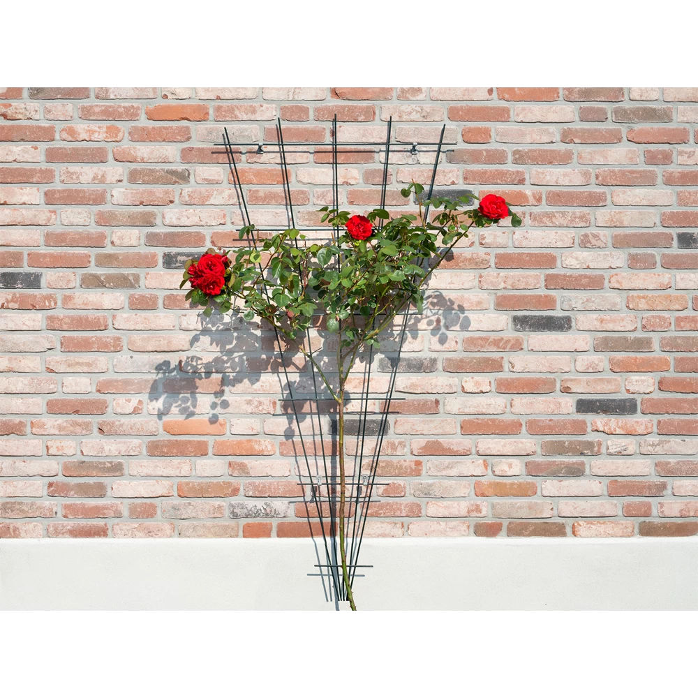 Nature - Metalen Klimrekv Geplastificeerd Groen H145x5/75cm 3 Nature - Metalen Klimrekv Geplastificeerd Groen H145x5/75cm - Afbeelding 3