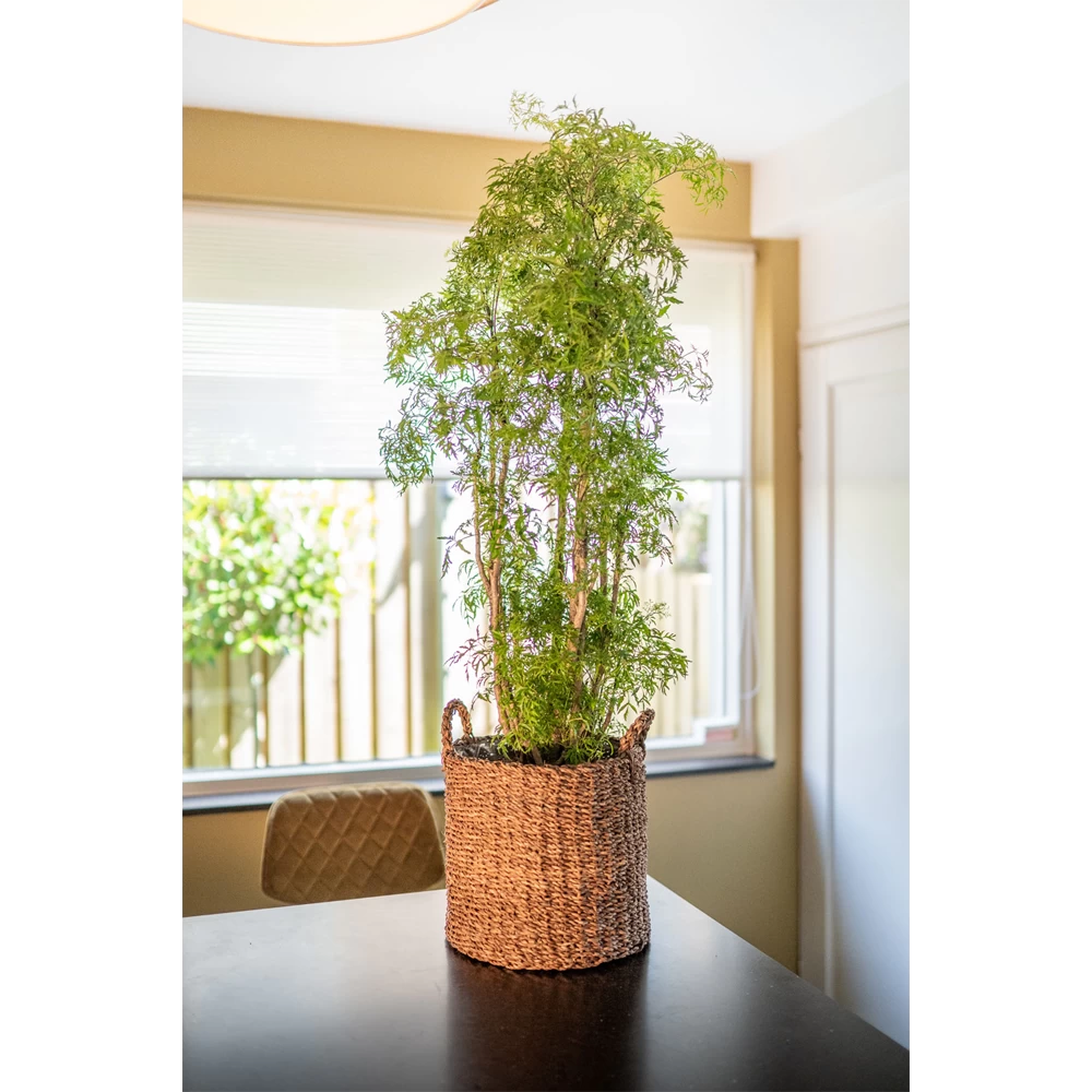 Plantenmand Joris - D30 X H27cm - Camel 2 Plantenmand Joris - D30 X H27cm - Camel - Afbeelding 2