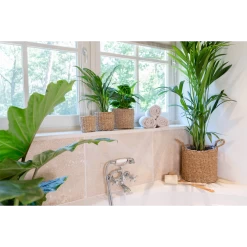 Plantenmand Joris - D30 X H27cm - Naturel 5 Plantenmand Joris - D30 X H27cm - Naturel -Groene Tuin Verkoop plantenmand joris naturel plantenmand 3 2