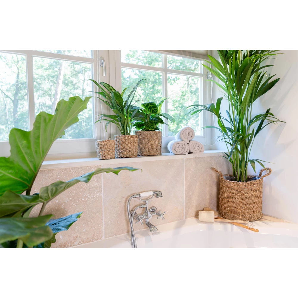 Plantenmand Joris - D30 X H27cm - Naturel 3 Plantenmand Joris - D30 X H27cm - Naturel - Afbeelding 3