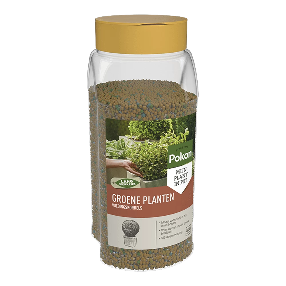 Pokon Groene Planten Voedingskorrels 800g - Kamerplanten Voeding 1 Pokon Groene Planten Voedingskorrels 800g - Kamerplanten Voeding
