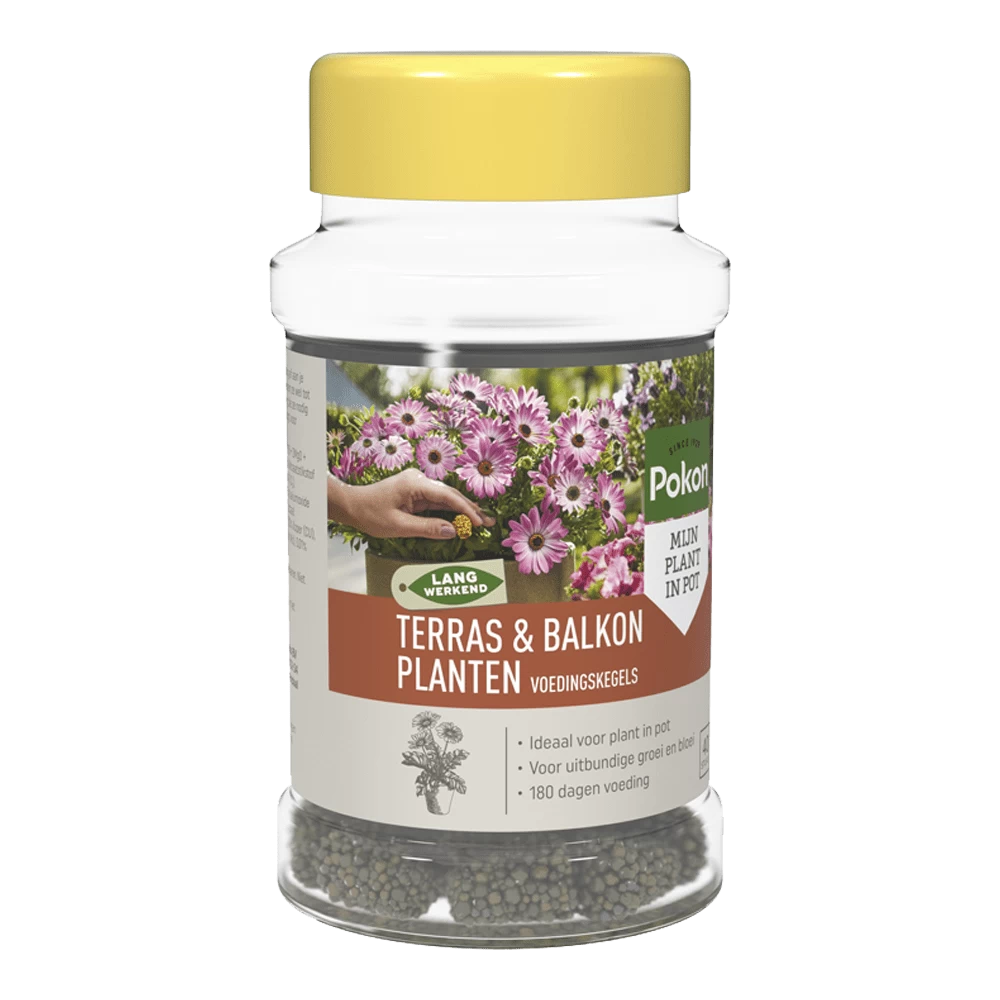 Pokon Terras & Balkon Planten Voedingskegels 40 Stuks - Tuinplanten Voeding 1 Pokon Terras & Balkon Planten Voedingskegels 40 Stuks - Tuinplanten Voeding