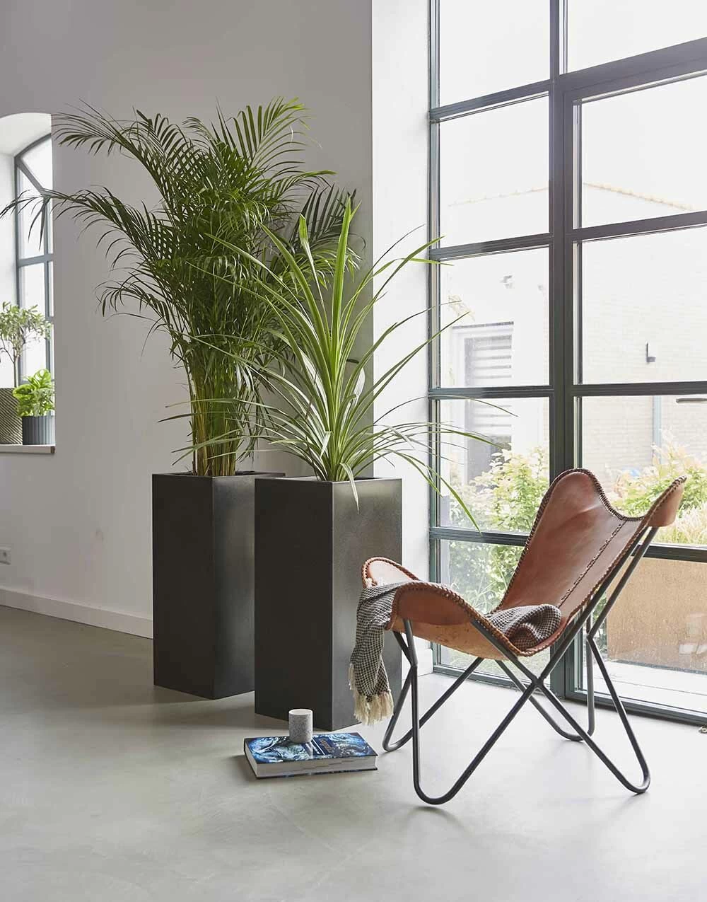 Capi Plantenbak Rechthoek Urban Smooth NL - L36 X B36 X H79cm - Zwart 2 Capi Plantenbak Rechthoek Urban Smooth NL - L36 X B36 X H79cm - Zwart - Afbeelding 2