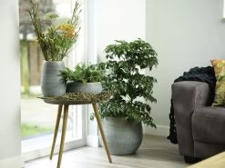 Bloempot Ryan - D31 X H28cm - Shiny Blue 5 Bloempot Ryan - D31 X H28cm - Shiny Blue -Groene Tuin Verkoop pot ryan shiny blue keramiek d31 h28 bloempot 7 10