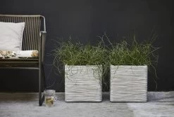 Capi Plantenbak Vierkant Nature Rib NL - L40 X B40 X H40cm - Ivoor -Groene Tuin Verkoop pot vierkant rib nl 40x40x40 ivoor plantenbak 7 8