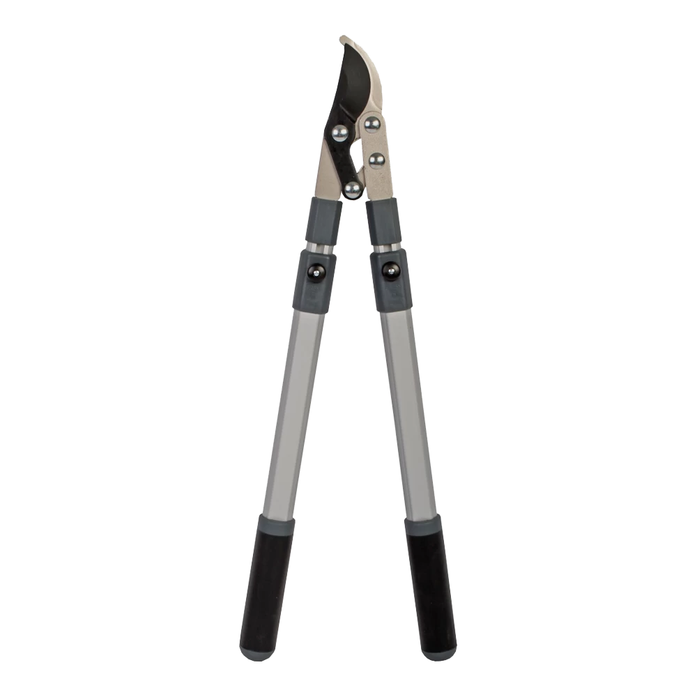 Takkenschaar Voorbijsnijdend Telescopisch - TalenTools 1 Takkenschaar Voorbijsnijdend Telescopisch - TalenTools