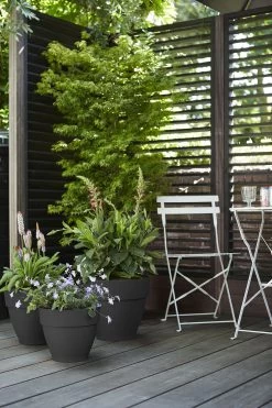 Bloempot Elho Vibia Campana Rond 35cm - Antraciet -Groene Tuin Verkoop vibia campana rond 35 bloempot antraciet 7 11