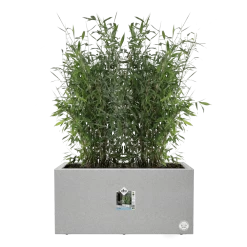 Elho Vivo Next Lang Wielen 80cm - Warm Grijs -Groene Tuin Verkoop vivo matt lang wielen 80cm warm grijs 5 1