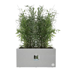 Elho Vivo Next Lang Wielen 60cm - Warm Grijs -Groene Tuin Verkoop vivo next lang wielen 60cm warm grijs 5 1