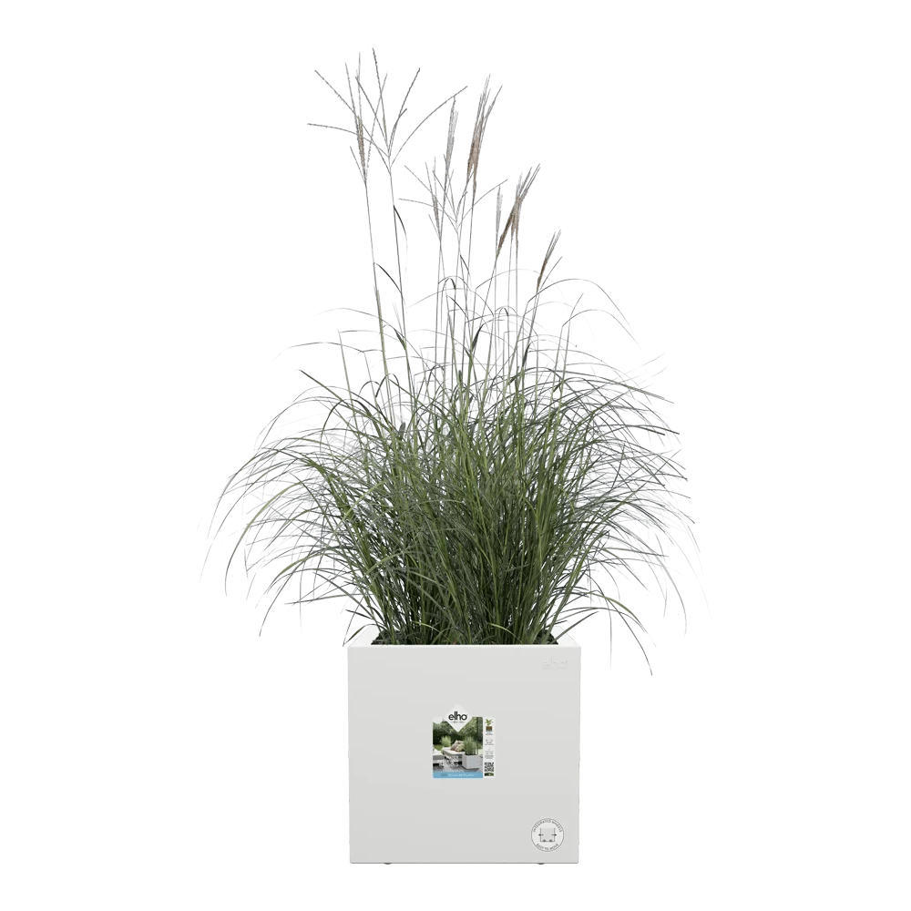 Elho Vivo Next Vierkant Wielen 30cm - Wit 5 Elho Vivo Next Vierkant Wielen 30cm - Wit - Afbeelding 5